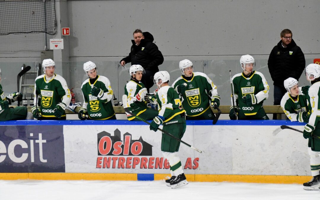 MS slo serielederen