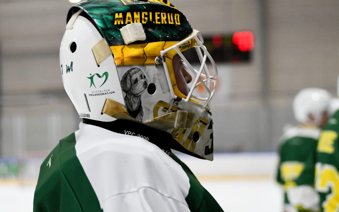Seier i Halden