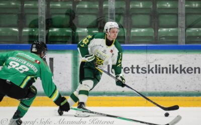Poeng i Halden